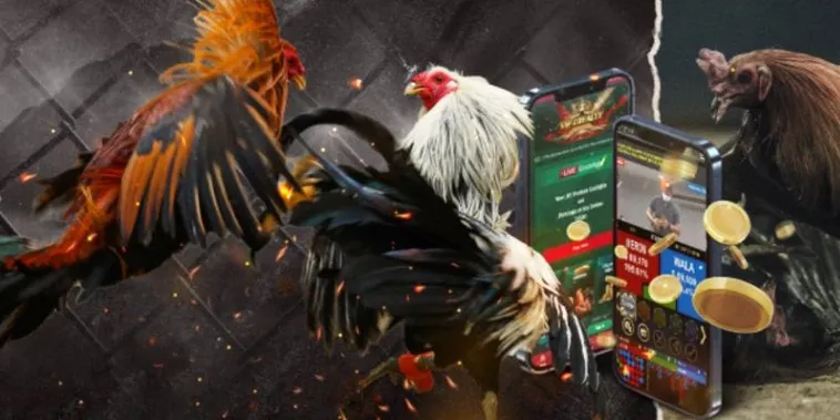 Bật Mí Cách Chơi Đá Gà GA28 Tại QH88 Bách Phát Bách Trúng 2 Bật Mí Cách Chơi Đá Gà GA28 Tại QH88 Bách Phát Bách Trúng