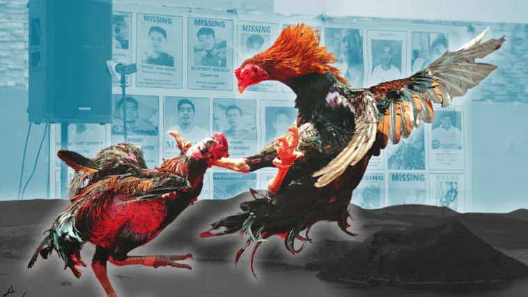 Hé Lộ Cách Chơi Đá Gà Sabong Tại QH88 Luôn Thắng Đậm 2 Hé Lộ Cách Chơi Đá Gà Sabong Tại QH88 Luôn Thắng Đậm