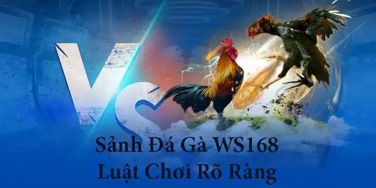 Bật Mí Cách Chơi Đá Gà WS168 Tại QH88 Thắng Lớn Mỗi Ngày 2 Bật Mí Cách Chơi Đá Gà WS168 Tại QH88 Thắng Lớn Mỗi Ngày