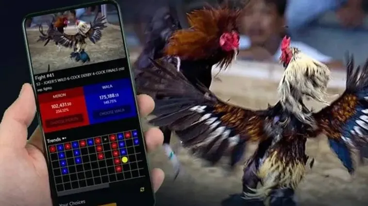 Bật Mí Kinh Nghiệm Chơi Đá Gà QH88 Thắng Lớn Từ Cao Thủ