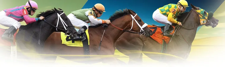 Bật Mí Cách Cá Cược Đua Ngựa QH88 Thắng Lớn Mỗi Ngày 1 Bật Mí Cách Cá Cược Đua Ngựa QH88 Thắng Lớn Mỗi Ngày